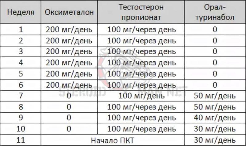 анаполон тестостерона пропионат туринабол курс схема приема анаполон тестостерона пропионат туринабол курс схема приема